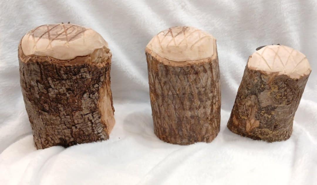 Nativity set natural branch of the Olive tree hand carved hand made from the Holyland