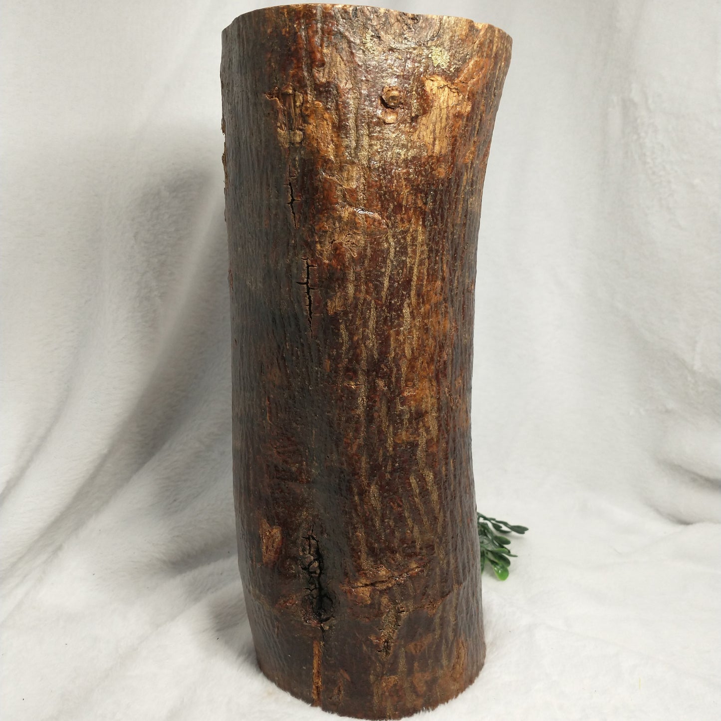 Natural branch olive wood Hand Carved Nativity Set .