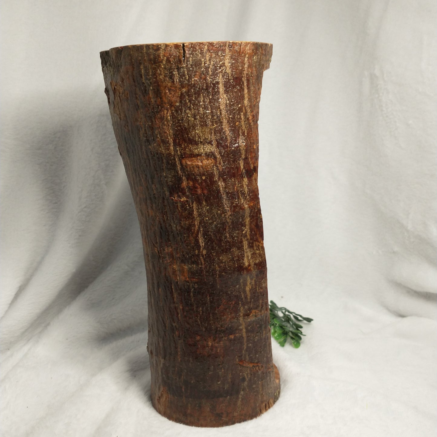 Natural branch olive wood Hand Carved Nativity Set .