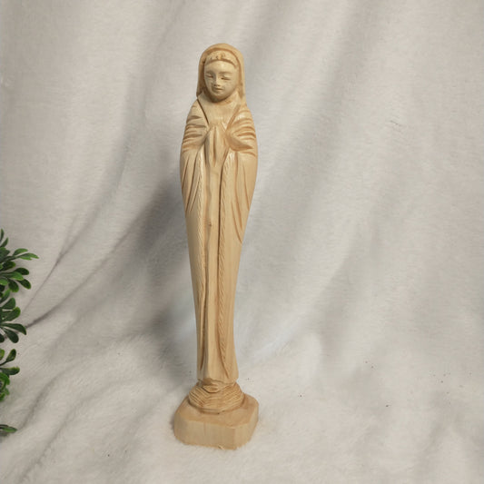 Virgin Mary praying ππ